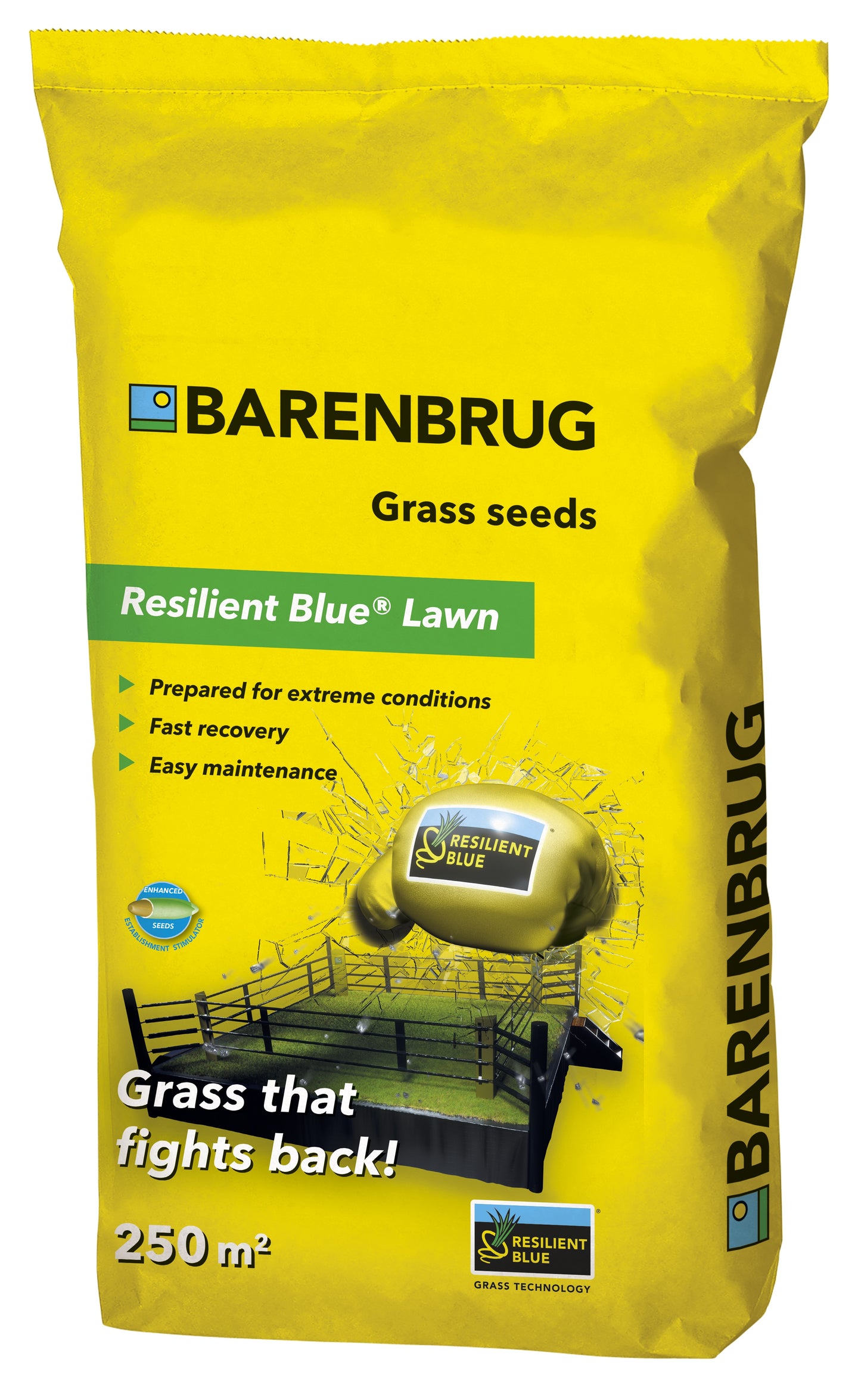 Vejos sėklos Resilient Blue Lawn, 15kg, Barenbrug