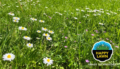 Barenbrug Happy Lawn žydinti vejos sėkla