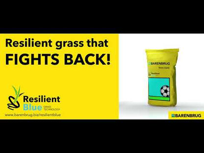 Lawn Seeds Resilient Blue Golf, 15kg, Barenbrug