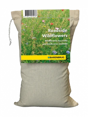 Gėlių sėklos Roadside Wildflowers, 1kg